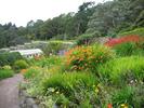 040Inverewe