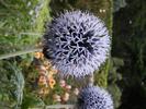 044Inverewe
