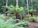 048Inverewe